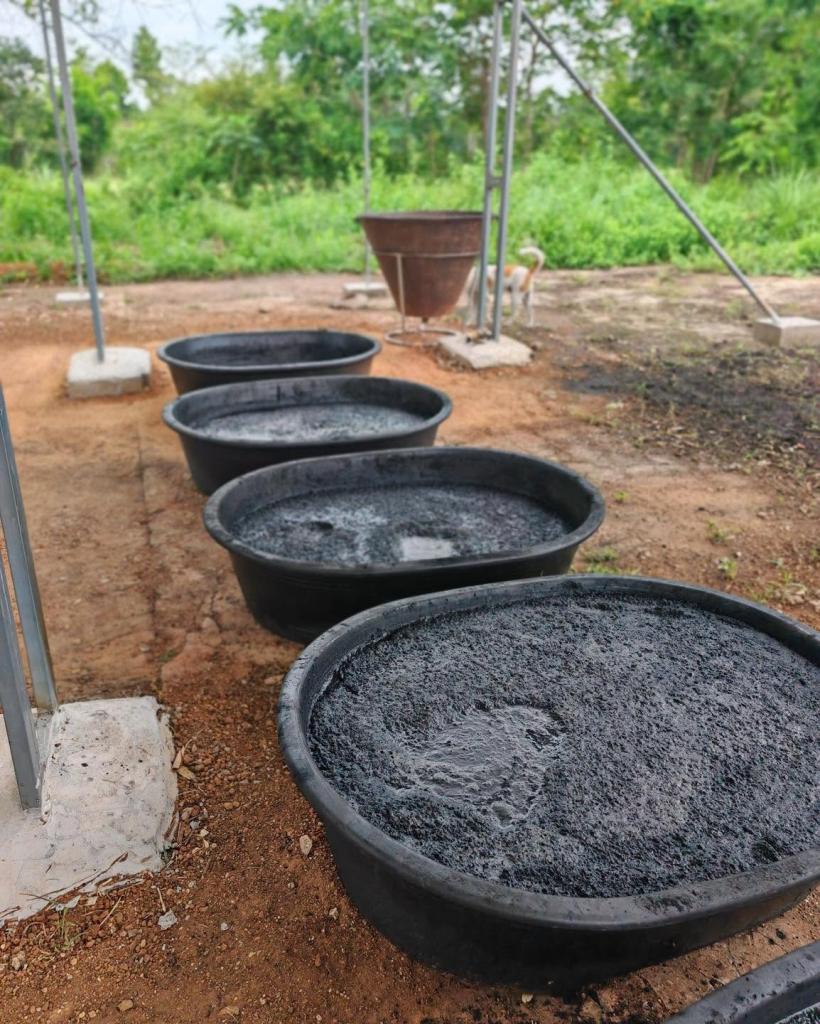 DIPROM Center 4 ลงพื้นที่ประชาสัมพันธ์เชิญชวนผู้ประกอบการ