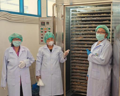 DIPROM CENTER 4 ให้บริการศูนย์ ITC